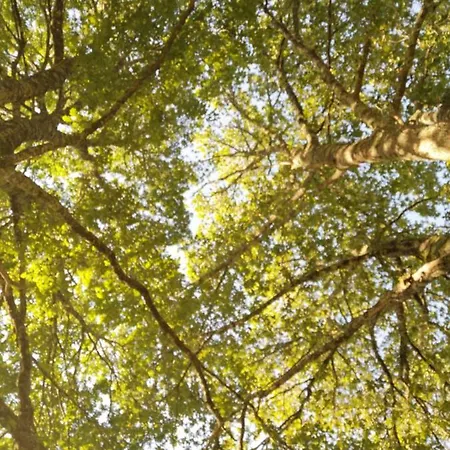 2 Coeurs 2 Landes * Garrosse