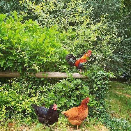 Homestay 2 Coeurs 2 Landes