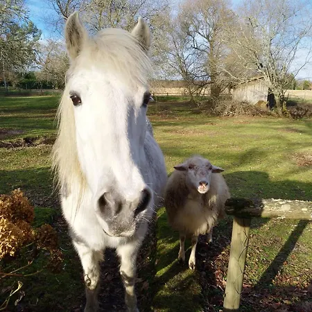2 Coeurs 2 Landes Homestay *