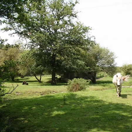2 Coeurs 2 Landes * Garrosse