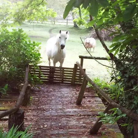 2 Coeurs 2 Landes Garrosse