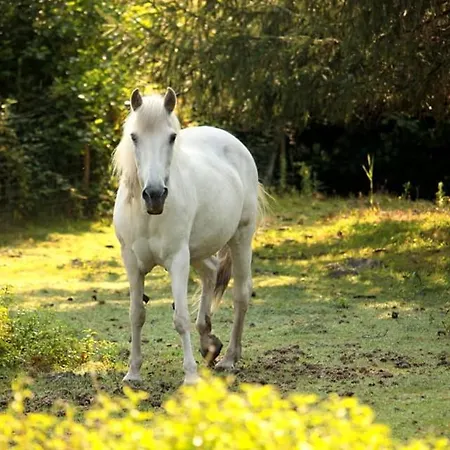 2 Coeurs 2 Landes