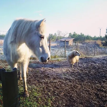 2 Coeurs 2 Landes * Garrosse