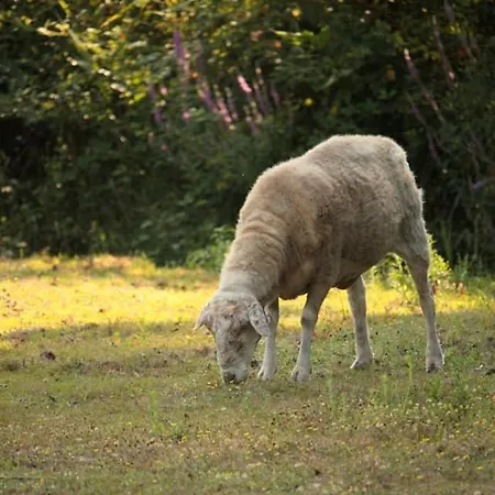 منزل للإقامة 2 Coeurs 2 Landes Garrosse