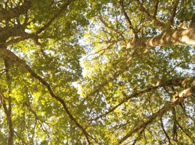 2 Coeurs 2 Landes * Garrosse