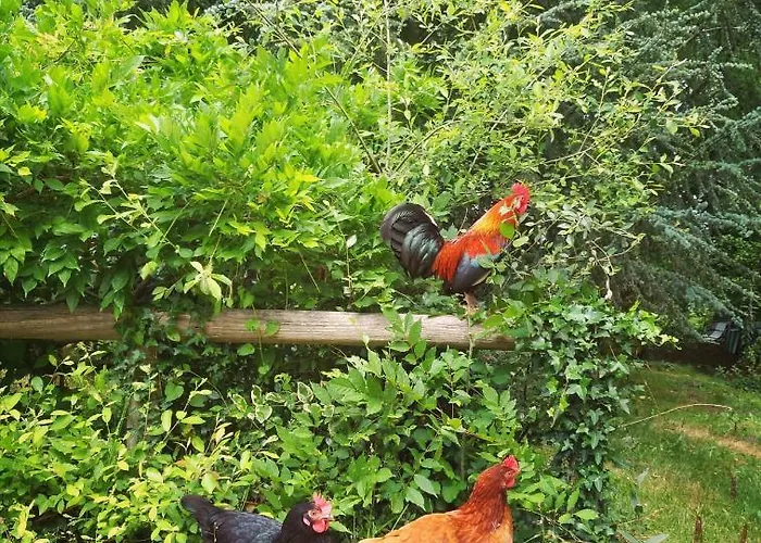 Privatunterkunft 2 Coeurs 2 Landes