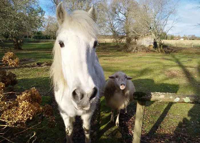 2 Coeurs 2 Landes Privatunterkunft *