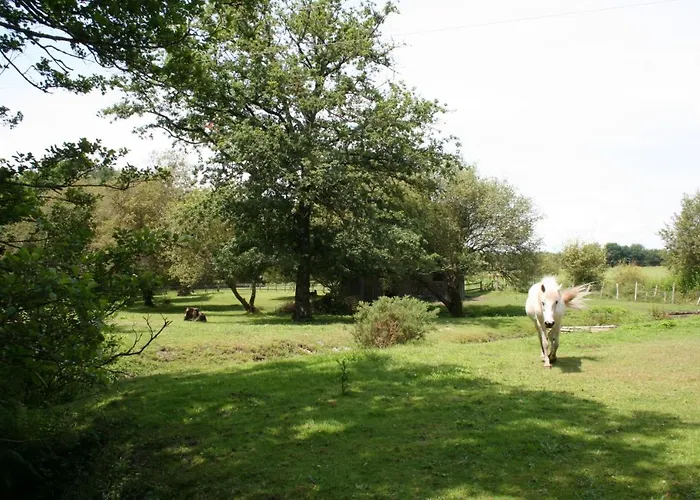 2 Coeurs 2 Landes * Garrosse