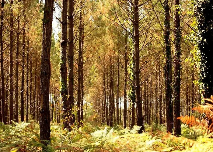 2 Coeurs 2 Landes Privatunterkunft